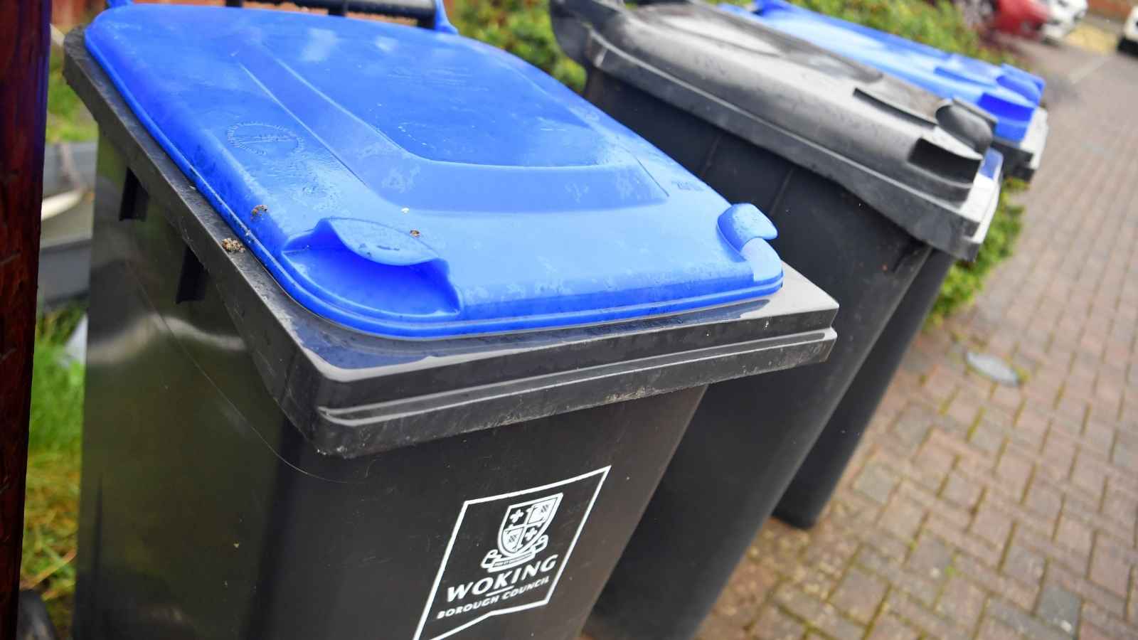 A line of household wheelie bins showing blue-lidded recycling bins and a black lidded general waste bin.
