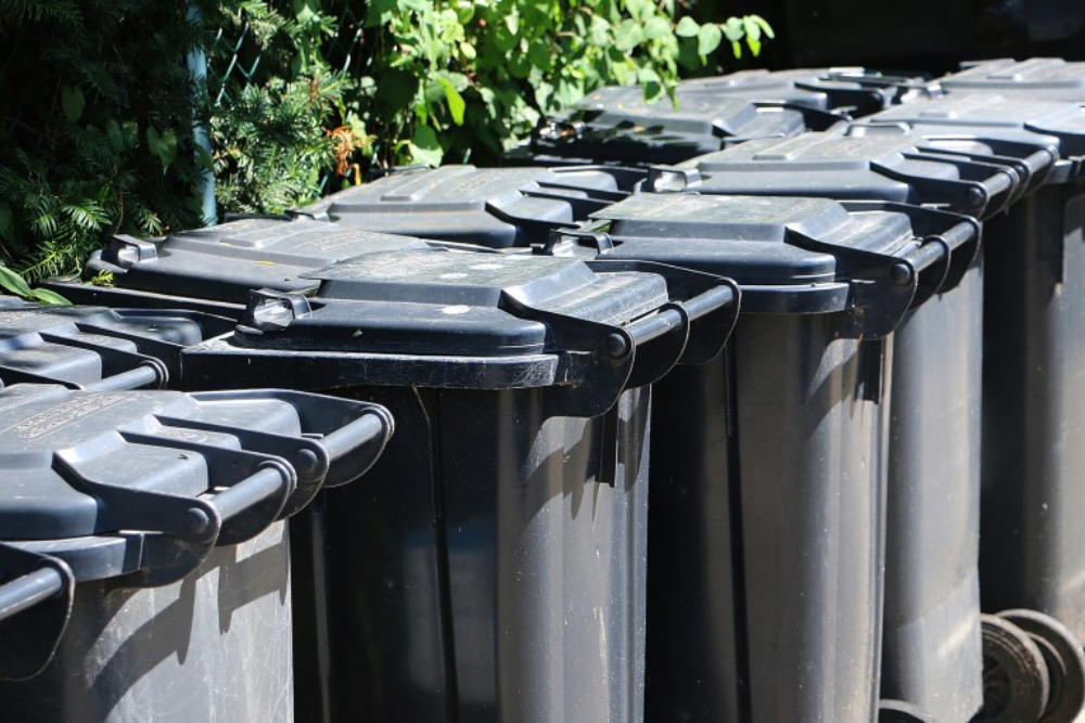 Black bins