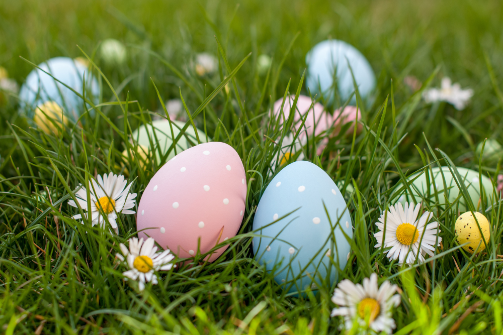 Easter eggs on the grass with daisies 