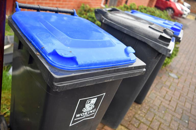Row of waste and recycling wheeled bins