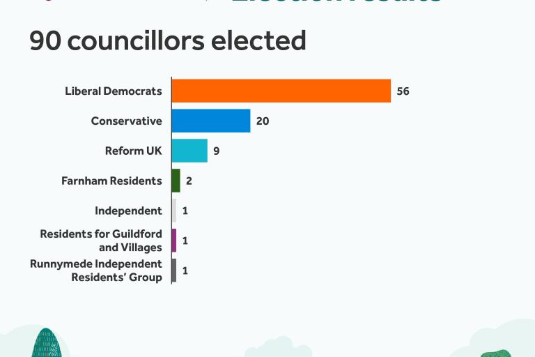 West Surrey Council political make-up